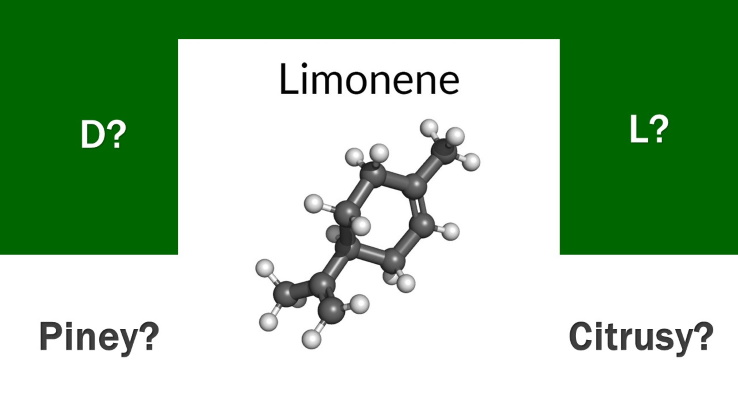 2 Types of Limonene Feature Image