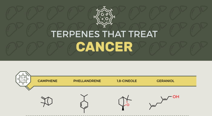 Feature image for Terpenes that Treat Cancer