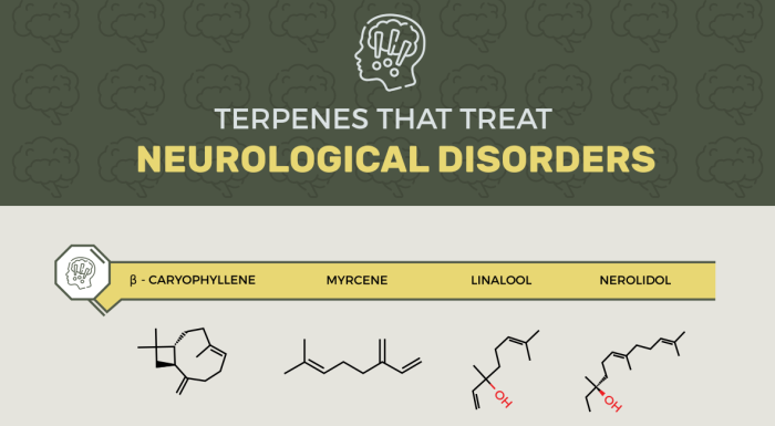 Feature image for terpenes that can treat neurological conditions