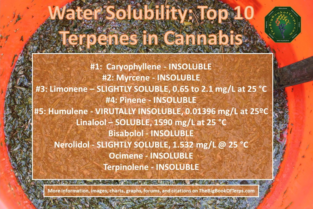 Water Solubility Top 10 Terpenes in Cannabis