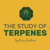 Feature Image for The Big Meme of Terpenes post