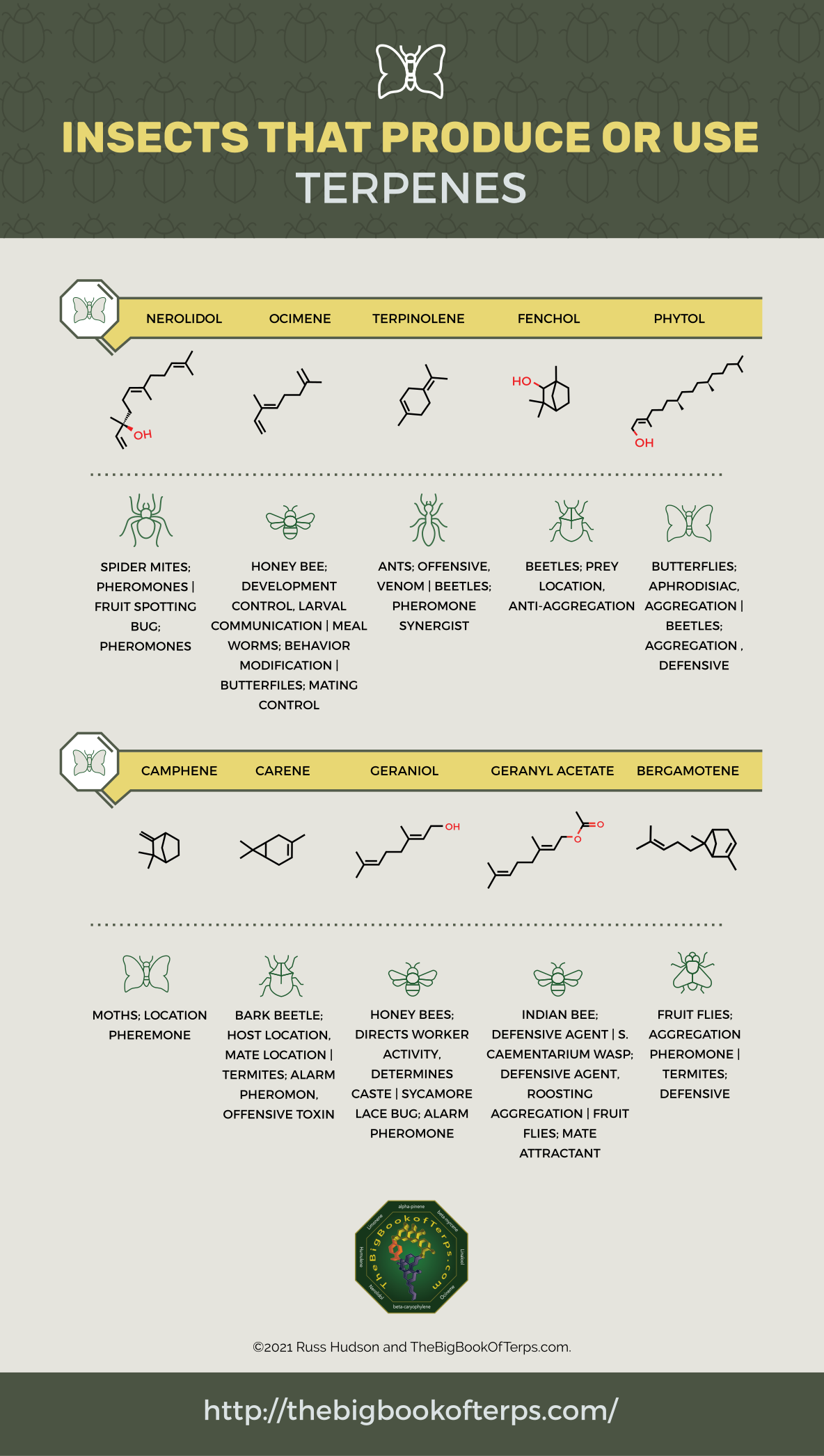 Insects that Produce or Use Terpenes